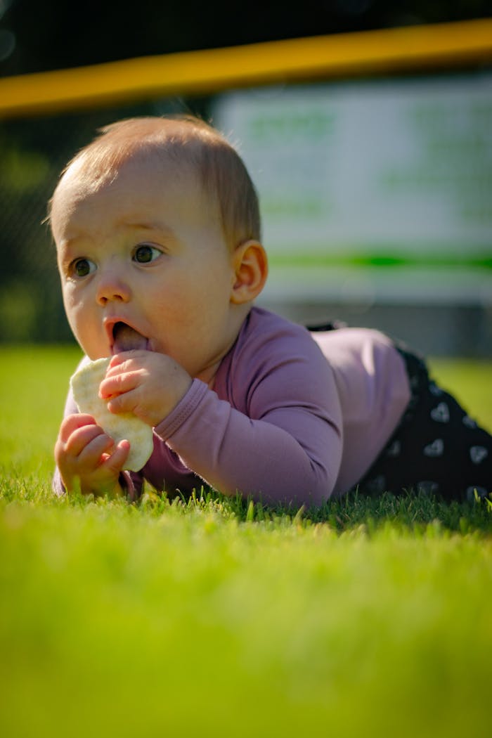 Adorable baby lying on grass enjoying a piece of bread in a natural outdoor setting.